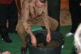 IMG_6912.jpg