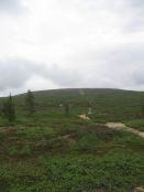 Sääskipolska11 2014.JPG