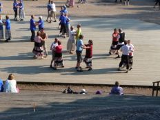 Metron melkutus 2.JPG